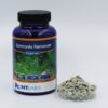 NT Labs Ammonia Remover | 240g
