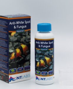 anti white spots and fungus