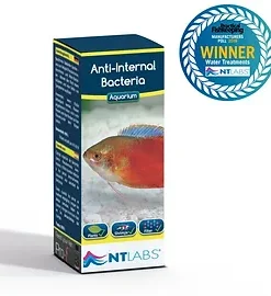 Anti Internal Bacteria