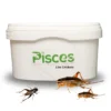 True Bugs Live Crickets