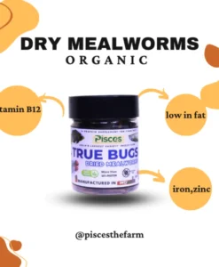 True Bugs Dried Mealworms