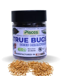 True Bugs Dried Mealworms