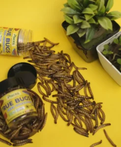 Ture Bugs Dried Superworms