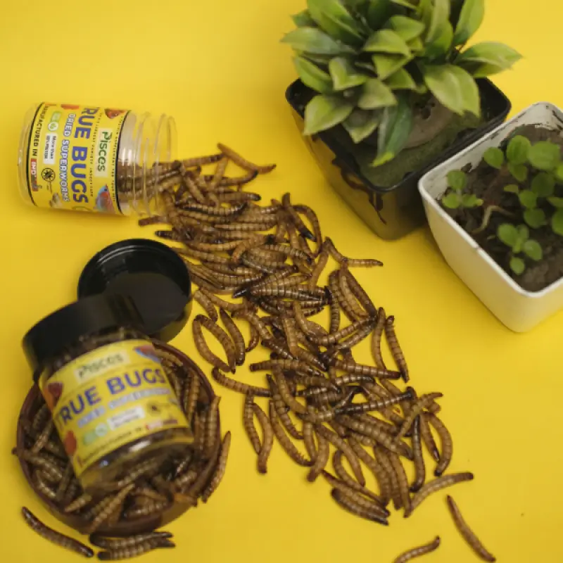 Ture Bugs Dried Superworms