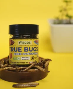 Ture Bugs Dried Superworms