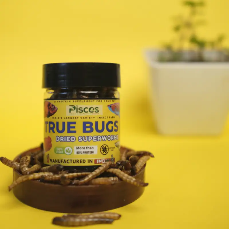 Ture Bugs Dried Superworms
