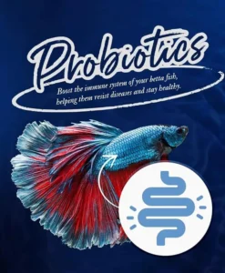 Okiko Betta Bright Probiotic