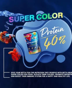 Okiko Betta Bright Protein