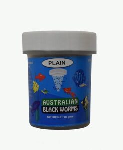 Australian Black Worms Plain