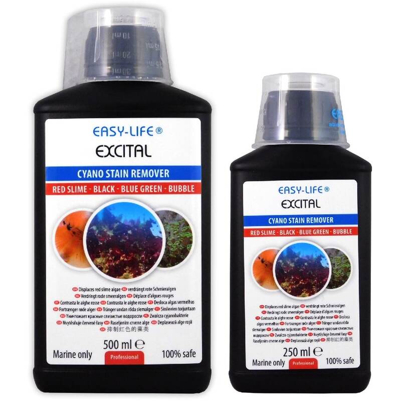 Easy-Life-Excital