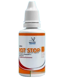 White Crane Rot Stop