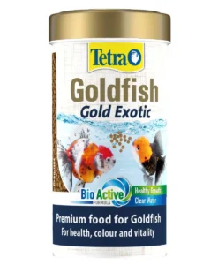 Tetra Goldfish Gold Exotic