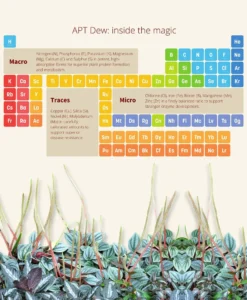 APT Dew contents