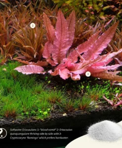 APT SKY Softwater and hardwater plants