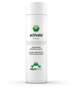 Aquavitro Activate