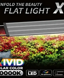 Neo Helios Flat XP Series