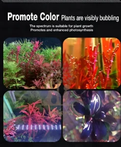 Neo Helios Flat XP Series