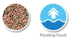 Hikari-turtle-sticks 1