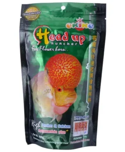 Okiko Head Up Huncher