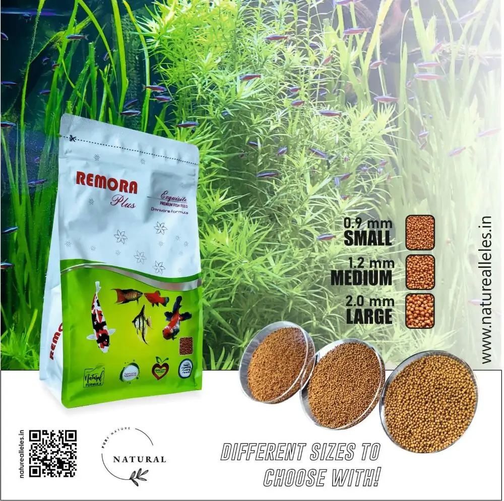 WA Remora Plus | Specialty Feed for All Tropical Fish - Image 4