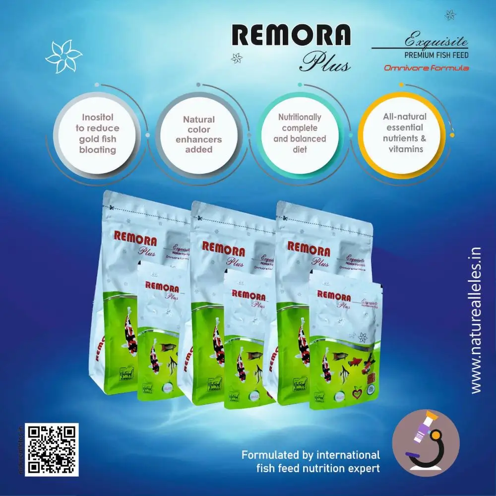WA Remora Plus | Specialty Feed for All Tropical Fish - Image 2