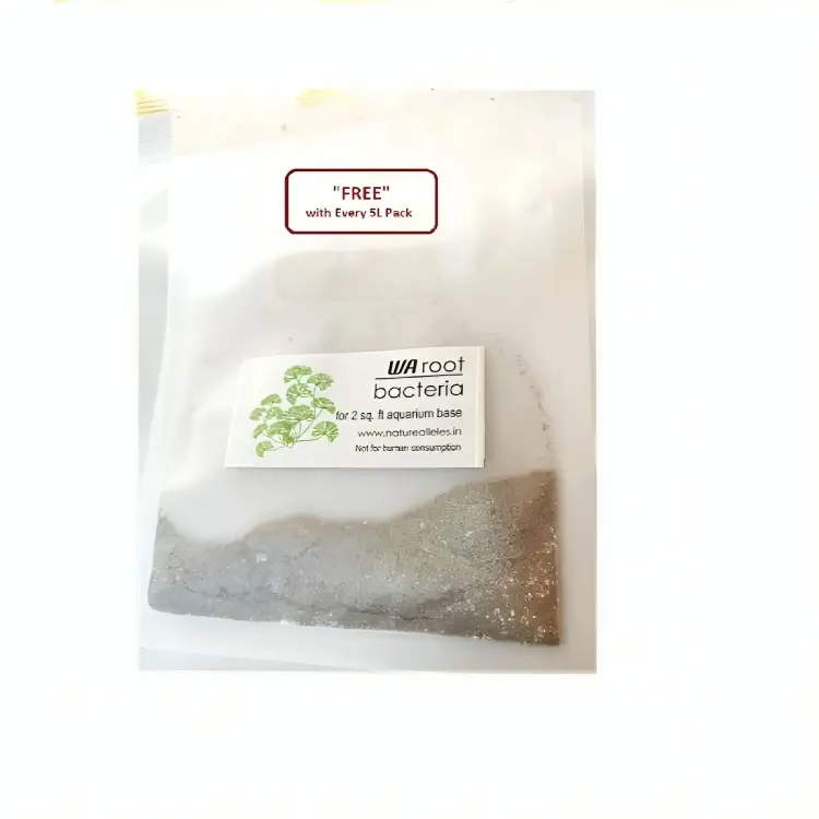 WA Root Bacteria
