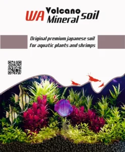 WA Volvano Mineral Soil 1
