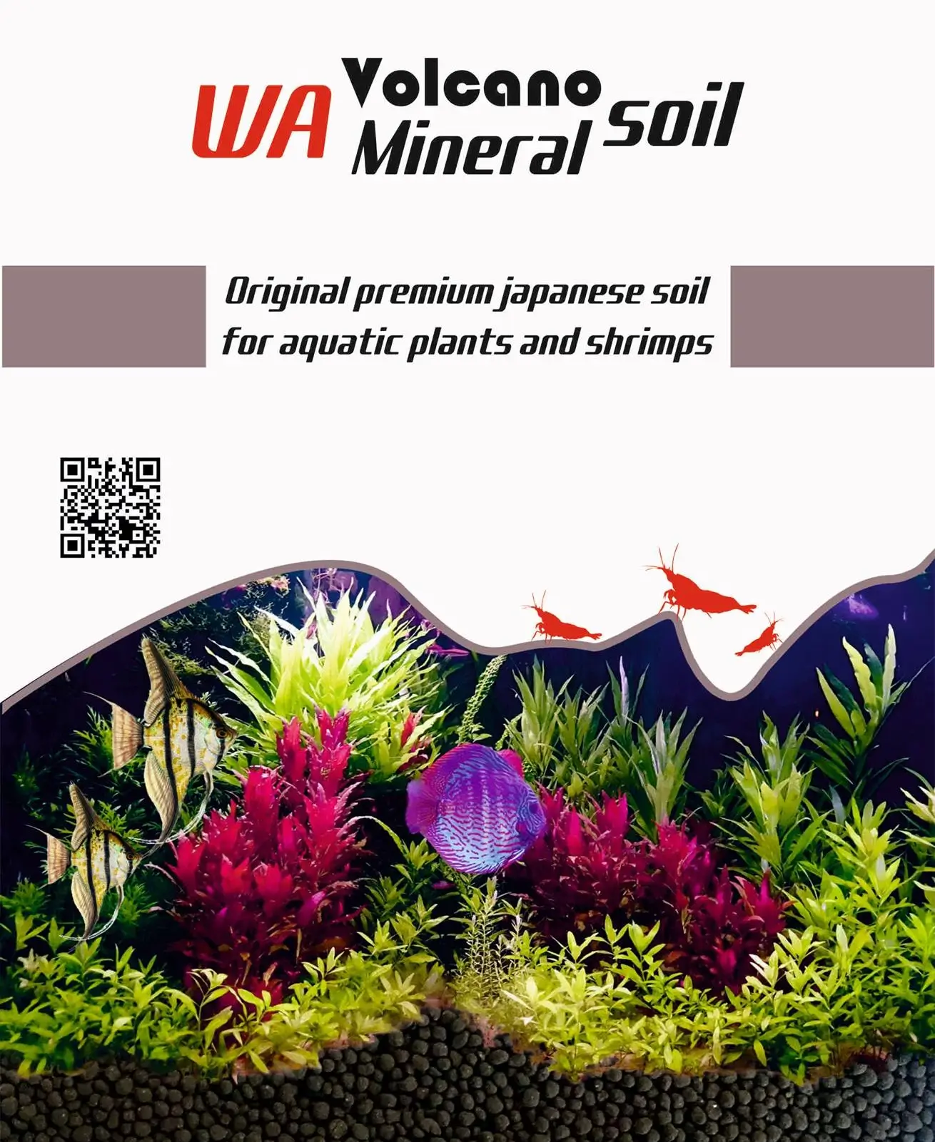WA Volvano Mineral Soil 1