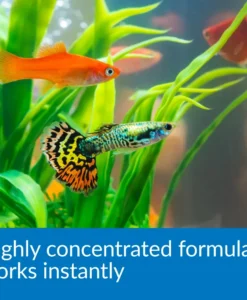 API Aqua Essential Water Conditioner