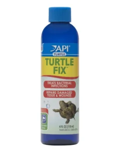 API Turtle Fix